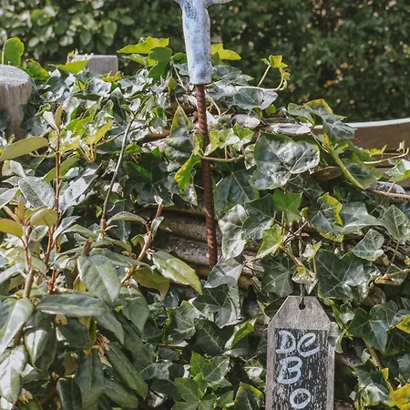 Kemp Tiny House De Boet, In Natuurgebied En Vlakbij Het Callantsoog