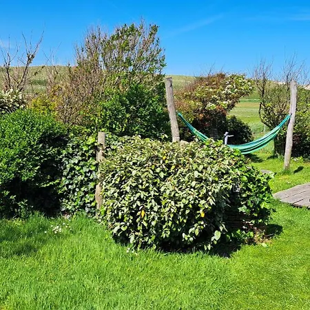 Tiny House De Boet, In Natuurgebied En Vlakbij Het Campsite Callantsoog