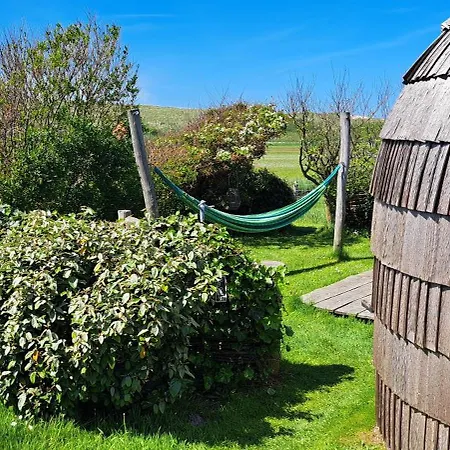 Tiny House De Boet, In Natuurgebied En Vlakbij Het *